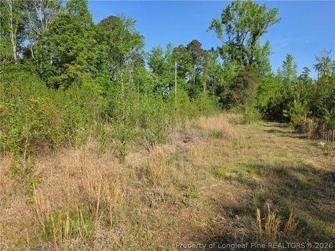 Tiny photo for 0 Leitha Lane, Godwin, NC 28344 (MLS # 760693)