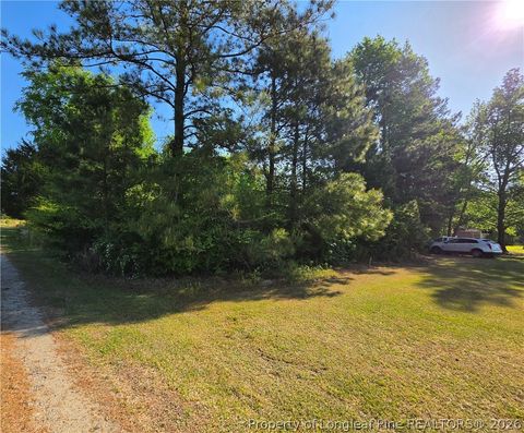Tiny photo for 0 Leitha Lane, Godwin, NC 28344 (MLS # 760693)