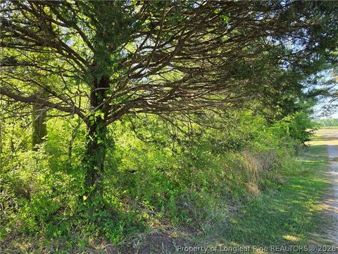 Tiny photo for 0 Leitha Lane, Godwin, NC 28344 (MLS # 760693)