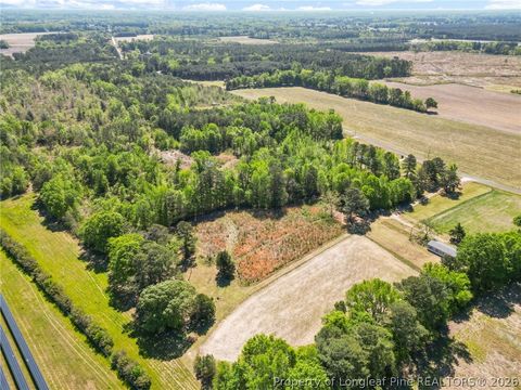 Tiny photo for 0 Leitha Lane, Godwin, NC 28344 (MLS # 760693)