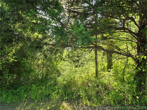 Tiny photo for 0 Leitha Lane, Godwin, NC 28344 (MLS # 760693)