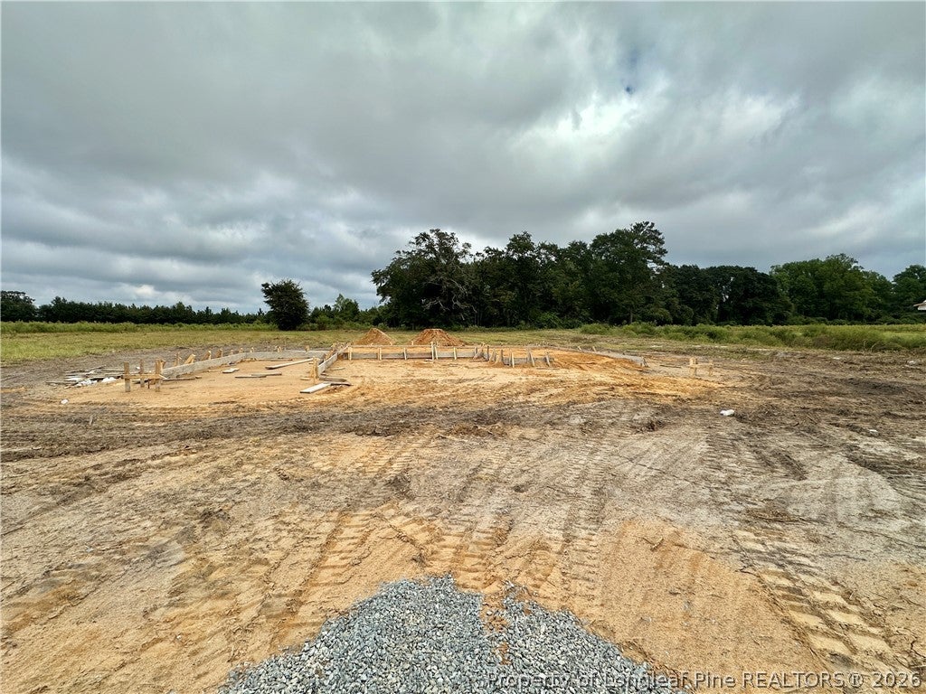Photo of 206 Rolands Ridge (Lot 9) Road, Autryville, NC 28318 (MLS # 769596)