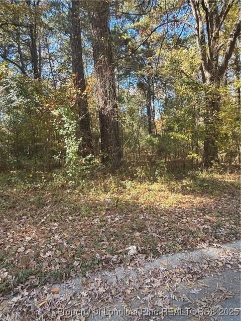 Tiny photo for 893 Marsh Street, Fayetteville, NC 28301 (MLS # 753113)