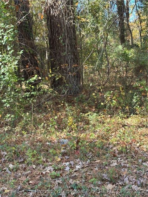 Tiny photo for 893 Marsh Street, Fayetteville, NC 28301 (MLS # 753113)