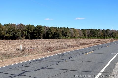 Tiny photo for TBD Stuart's Mill Road, Fairmont, NC 28340 (MLS # 754584)