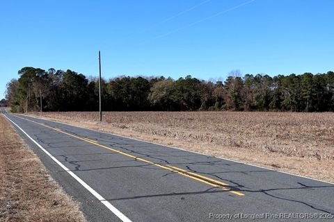 Tiny photo for TBD Stuart's Mill Road, Fairmont, NC 28340 (MLS # 754584)