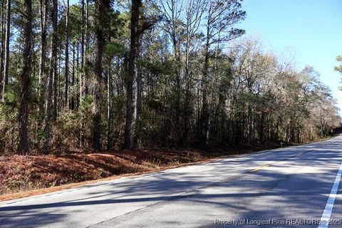 Tiny photo for TBD Stuart's Mill Road, Fairmont, NC 28340 (MLS # 754584)