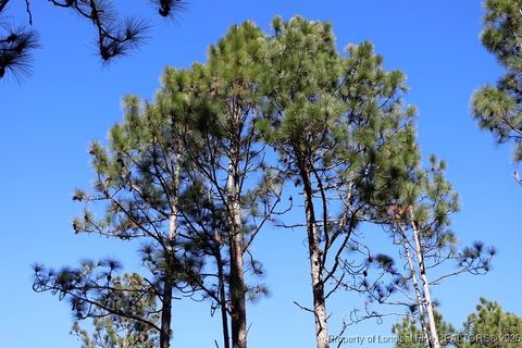 Tiny photo for TBD Stuart's Mill Road, Fairmont, NC 28340 (MLS # 754584)