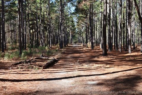 Tiny photo for TBD Stuart's Mill Road, Fairmont, NC 28340 (MLS # 754584)