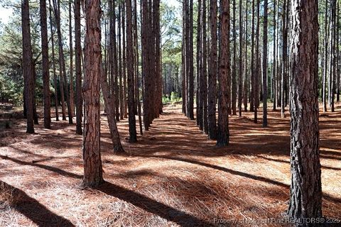 Tiny photo for TBD Stuart's Mill Road, Fairmont, NC 28340 (MLS # 754584)