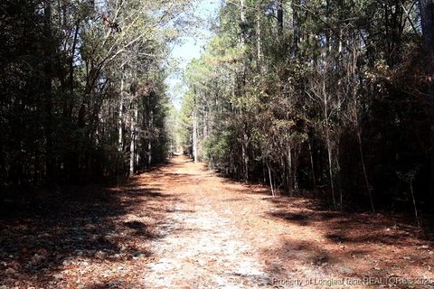 Tiny photo for TBD Stuart's Mill Road, Fairmont, NC 28340 (MLS # 754584)