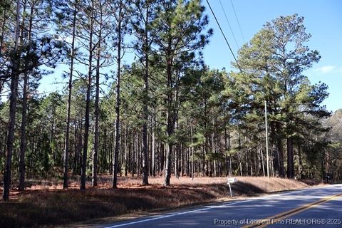 Tiny photo for TBD Stuart's Mill Road, Fairmont, NC 28340 (MLS # 754584)