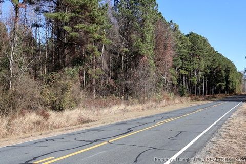 Tiny photo for TBD Stuart's Mill Road, Fairmont, NC 28340 (MLS # 754584)
