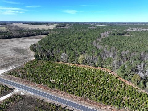 Tiny photo for TBD Stuart's Mill Road, Fairmont, NC 28340 (MLS # 754584)