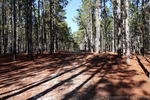 Tiny photo for TBD Stuart's Mill Road, Fairmont, NC 28340 (MLS # 754584)