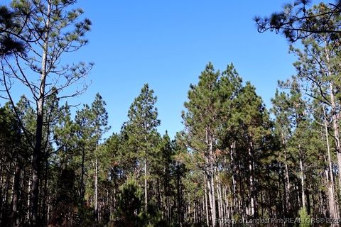 Tiny photo for TBD Stuart's Mill Road, Fairmont, NC 28340 (MLS # 754584)