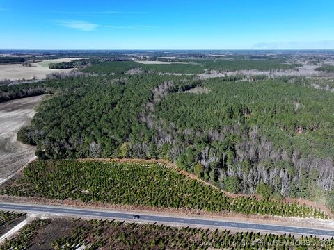 Tiny photo for TBD Stuart's Mill Road, Fairmont, NC 28340 (MLS # 754584)