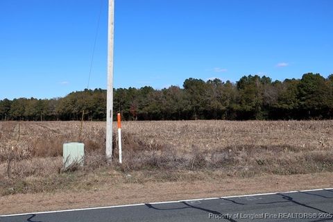 Tiny photo for TBD Stuart's Mill Road, Fairmont, NC 28340 (MLS # 754584)