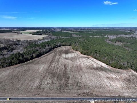 Tiny photo for TBD Stuart's Mill Road, Fairmont, NC 28340 (MLS # 754584)