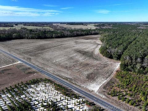 Tiny photo for TBD Stuart's Mill Road, Fairmont, NC 28340 (MLS # 754584)