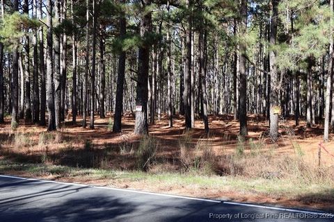 Tiny photo for TBD Stuart's Mill Road, Fairmont, NC 28340 (MLS # 754584)