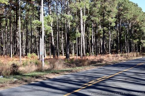 Tiny photo for TBD Stuart's Mill Road, Fairmont, NC 28340 (MLS # 754584)