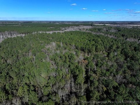 Tiny photo for TBD Stuart's Mill Road, Fairmont, NC 28340 (MLS # 754584)