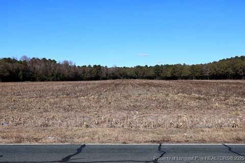Tiny photo for TBD Stuart's Mill Road, Fairmont, NC 28340 (MLS # 754584)