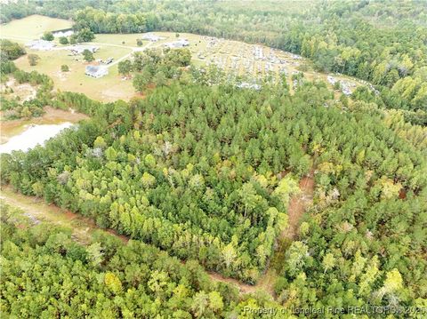 Tiny photo for 180 Amanda Lane, Rockingham, NC 28379 (MLS # 750412)