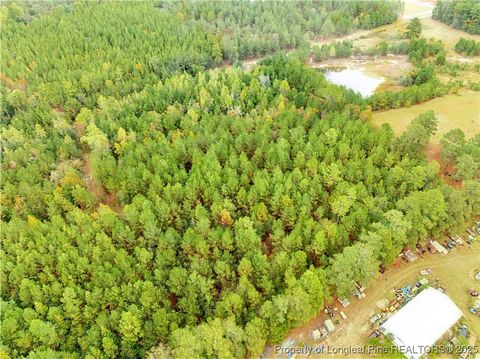 Tiny photo for 180 Amanda Lane, Rockingham, NC 28379 (MLS # 750412)