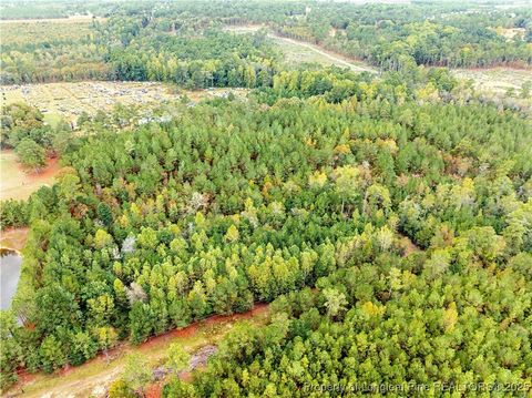 Tiny photo for 180 Amanda Lane, Rockingham, NC 28379 (MLS # 750412)