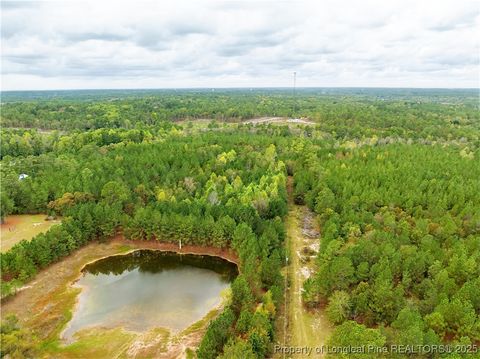 Tiny photo for 180 Amanda Lane, Rockingham, NC 28379 (MLS # 750412)
