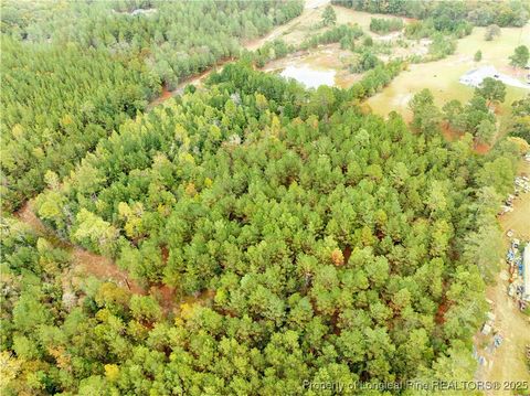 Tiny photo for 180 Amanda Lane, Rockingham, NC 28379 (MLS # 750412)