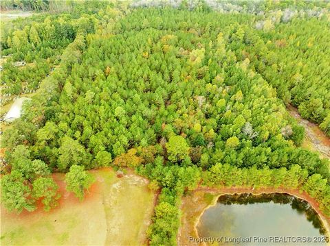 Tiny photo for 180 Amanda Lane, Rockingham, NC 28379 (MLS # 750412)