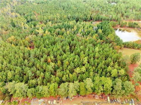 Tiny photo for 180 Amanda Lane, Rockingham, NC 28379 (MLS # 750412)
