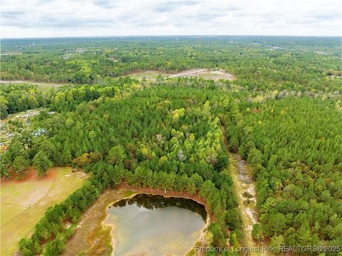 Tiny photo for 180 Amanda Lane, Rockingham, NC 28379 (MLS # 750412)
