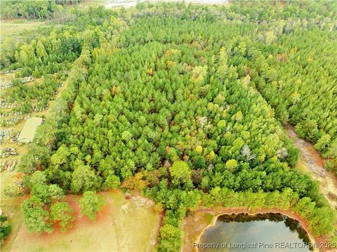 Tiny photo for 180 Amanda Lane, Rockingham, NC 28379 (MLS # 750412)