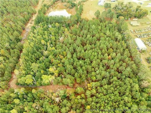 Tiny photo for 180 Amanda Lane, Rockingham, NC 28379 (MLS # 750412)