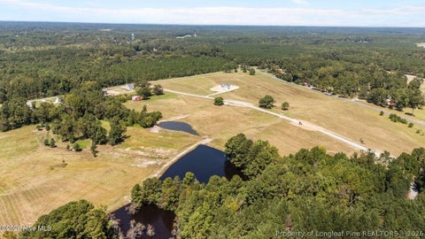 Tiny photo for 525 Sanctuary Trail, Cameron, NC 28326 (MLS # 768390)