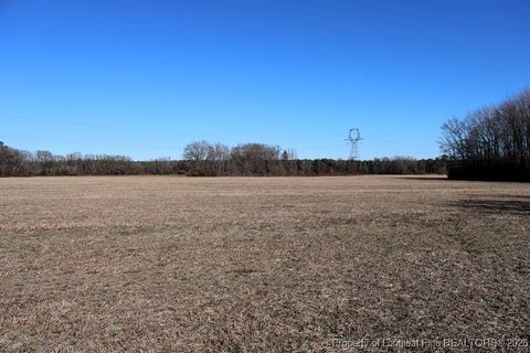 Tiny photo for TBD S Old Wire Road, Red Springs, NC 28377 (MLS # 756322)
