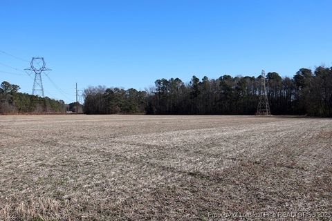 Tiny photo for TBD S Old Wire Road, Red Springs, NC 28377 (MLS # 756322)