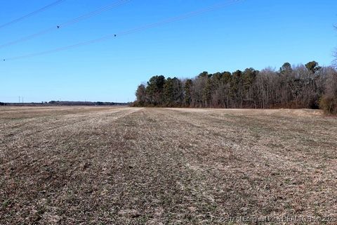 Tiny photo for TBD S Old Wire Road, Red Springs, NC 28377 (MLS # 756322)
