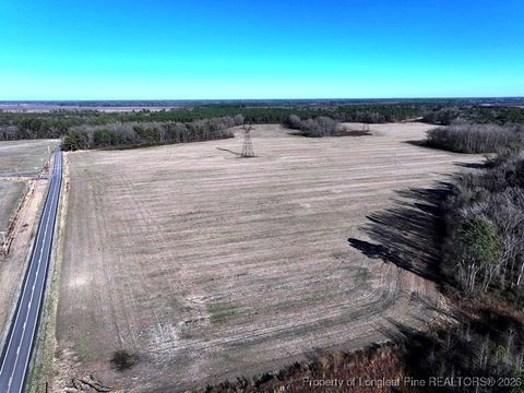 Tiny photo for TBD S Old Wire Road, Red Springs, NC 28377 (MLS # 756322)