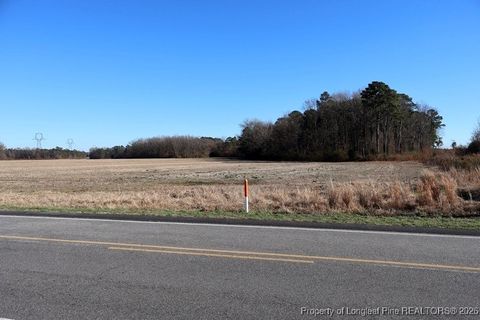 Tiny photo for TBD S Old Wire Road, Red Springs, NC 28377 (MLS # 756322)