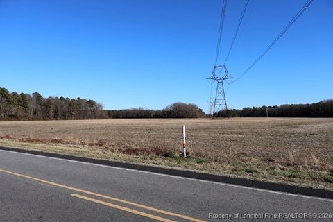 Tiny photo for TBD S Old Wire Road, Red Springs, NC 28377 (MLS # 756322)