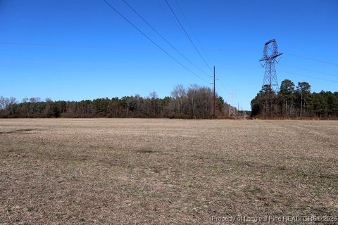 Tiny photo for TBD S Old Wire Road, Red Springs, NC 28377 (MLS # 756322)
