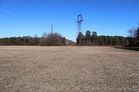 Tiny photo for TBD S Old Wire Road, Red Springs, NC 28377 (MLS # 756322)