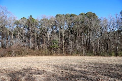 Tiny photo for TBD S Old Wire Road, Red Springs, NC 28377 (MLS # 756322)