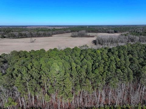 Tiny photo for TBD S Old Wire Road, Red Springs, NC 28377 (MLS # 756322)