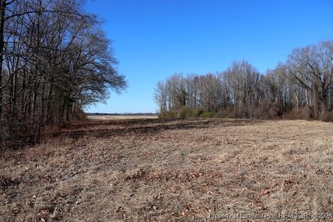 Tiny photo for TBD S Old Wire Road, Red Springs, NC 28377 (MLS # 756322)